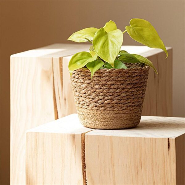Seagrass Plant Basket – Woven Boho Planter Cover - Image 2