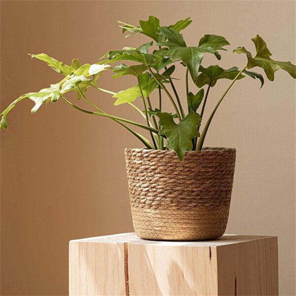 Seagrass Plant Basket – Woven Boho Planter Cover
